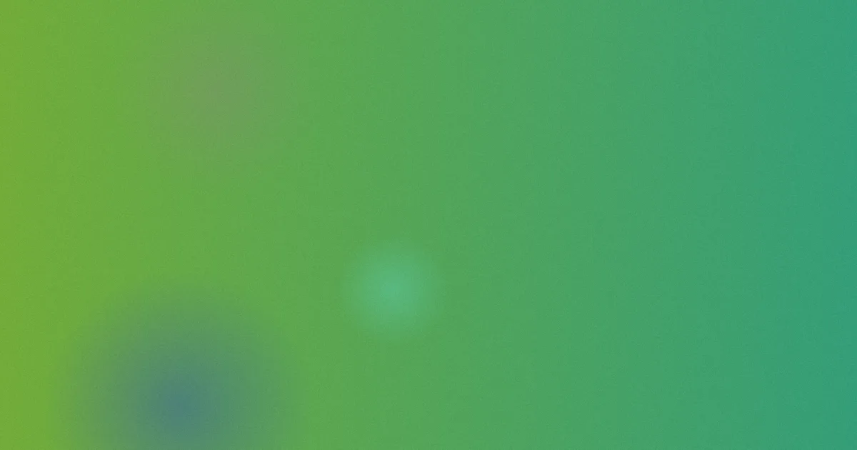 理论动漫测评避坑流程
